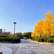 ヒメ日記 2024/12/13 09:59 投稿 恵梨(えり) グランドオペラ福岡