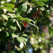 ヒメ日記 2025/01/21 08:52 投稿 恵梨(えり) グランドオペラ福岡