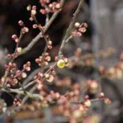 ヒメ日記 2025/02/20 09:51 投稿 恵梨(えり) グランドオペラ福岡