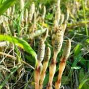 ヒメ日記 2025/02/25 10:51 投稿 恵梨(えり) グランドオペラ福岡