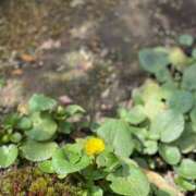 ヒメ日記 2025/02/28 09:41 投稿 恵梨(えり) グランドオペラ福岡