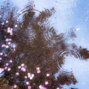 ヒメ日記 2025/03/04 04:41 投稿 恵梨(えり) グランドオペラ福岡