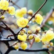 ヒメ日記 2025/03/06 00:01 投稿 恵梨(えり) グランドオペラ福岡