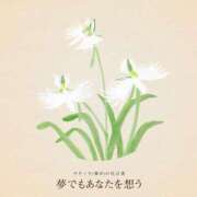 ヒメ日記 2025/03/06 23:52 投稿 恵梨(えり) グランドオペラ福岡