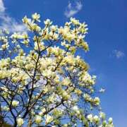 ヒメ日記 2025/03/08 23:46 投稿 恵梨(えり) グランドオペラ福岡