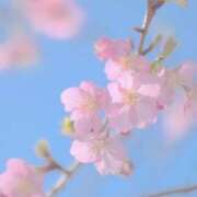 ヒメ日記 2025/03/13 08:41 投稿 恵梨(えり) グランドオペラ福岡