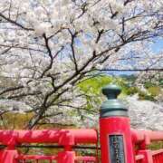 ヒメ日記 2025/04/14 11:23 投稿 恵梨(えり) グランドオペラ福岡