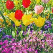 ヒメ日記 2025/04/15 08:21 投稿 恵梨(えり) グランドオペラ福岡