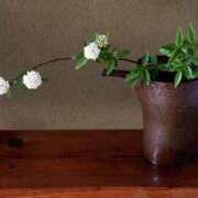 ヒメ日記 2025/04/18 10:35 投稿 恵梨(えり) グランドオペラ福岡