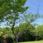 ヒメ日記 2025/04/22 23:27 投稿 恵梨(えり) グランドオペラ福岡