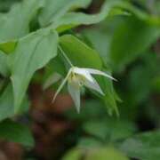 ヒメ日記 2025/04/24 07:51 投稿 恵梨(えり) グランドオペラ福岡