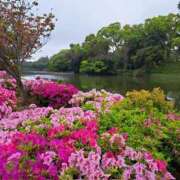 ヒメ日記 2025/04/28 09:02 投稿 恵梨(えり) グランドオペラ福岡