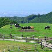 ヒメ日記 2025/04/30 01:40 投稿 恵梨(えり) グランドオペラ福岡