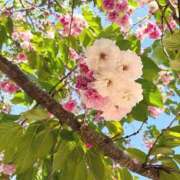 ヒメ日記 2025/04/30 08:51 投稿 恵梨(えり) グランドオペラ福岡