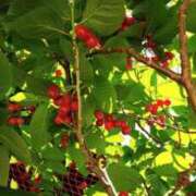 ヒメ日記 2025/05/02 09:04 投稿 恵梨(えり) グランドオペラ福岡