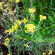 ヒメ日記 2025/05/09 00:15 投稿 恵梨(えり) グランドオペラ福岡