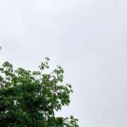 ヒメ日記 2025/05/09 08:29 投稿 恵梨(えり) グランドオペラ福岡