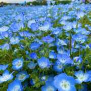 ヒメ日記 2025/05/12 18:10 投稿 恵梨(えり) グランドオペラ福岡