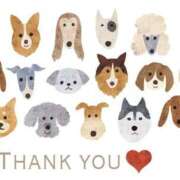 ヒメ日記 2025/05/13 19:03 投稿 恵梨(えり) グランドオペラ福岡