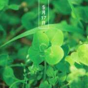 ヒメ日記 2025/05/17 09:46 投稿 恵梨(えり) グランドオペラ福岡