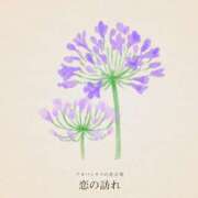 ヒメ日記 2025/05/24 12:54 投稿 恵梨(えり) グランドオペラ福岡