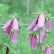 ヒメ日記 2025/05/25 09:21 投稿 恵梨(えり) グランドオペラ福岡