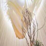 ヒメ日記 2025/05/26 07:31 投稿 恵梨(えり) グランドオペラ福岡