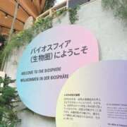 ヒメ日記 2025/05/28 13:06 投稿 恵梨(えり) グランドオペラ福岡