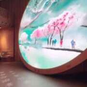 ヒメ日記 2025/05/29 13:16 投稿 恵梨(えり) グランドオペラ福岡