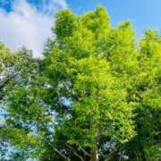 ヒメ日記 2025/05/31 10:41 投稿 恵梨(えり) グランドオペラ福岡