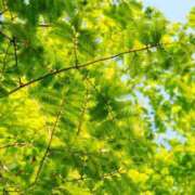 ヒメ日記 2025/05/31 20:18 投稿 恵梨(えり) グランドオペラ福岡