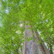 ヒメ日記 2025/05/31 22:01 投稿 恵梨(えり) グランドオペラ福岡