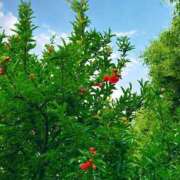 ヒメ日記 2025/06/01 23:18 投稿 恵梨(えり) グランドオペラ福岡