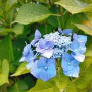 ヒメ日記 2025/06/02 08:45 投稿 恵梨(えり) グランドオペラ福岡