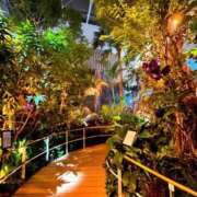 ヒメ日記 2025/06/02 15:51 投稿 恵梨(えり) グランドオペラ福岡