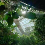 ヒメ日記 2025/06/03 00:05 投稿 恵梨(えり) グランドオペラ福岡