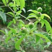 ヒメ日記 2025/06/03 21:52 投稿 恵梨(えり) グランドオペラ福岡