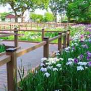 ヒメ日記 2025/06/04 07:43 投稿 恵梨(えり) グランドオペラ福岡