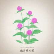 ヒメ日記 2025/06/04 15:41 投稿 恵梨(えり) グランドオペラ福岡