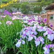 ヒメ日記 2025/06/04 21:41 投稿 恵梨(えり) グランドオペラ福岡