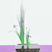 ヒメ日記 2025/06/06 17:12 投稿 恵梨(えり) グランドオペラ福岡