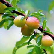 ヒメ日記 2025/06/09 23:21 投稿 恵梨(えり) グランドオペラ福岡