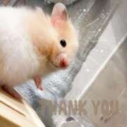 ヒメ日記 2025/06/12 19:09 投稿 恵梨(えり) グランドオペラ福岡