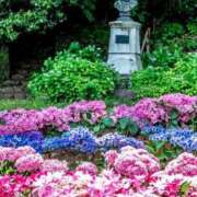 ヒメ日記 2025/06/12 22:11 投稿 恵梨(えり) グランドオペラ福岡