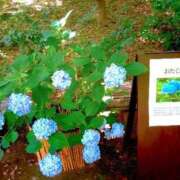 ヒメ日記 2025/06/13 00:49 投稿 恵梨(えり) グランドオペラ福岡