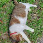 ヒメ日記 2025/06/13 11:18 投稿 恵梨(えり) グランドオペラ福岡