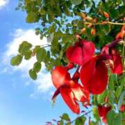 ヒメ日記 2025/06/15 08:11 投稿 恵梨(えり) グランドオペラ福岡