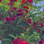 ヒメ日記 2025/06/15 10:51 投稿 恵梨(えり) グランドオペラ福岡