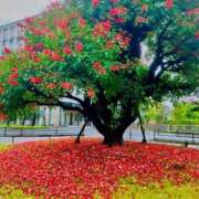 ヒメ日記 2025/06/15 12:21 投稿 恵梨(えり) グランドオペラ福岡