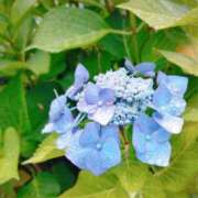 ヒメ日記 2025/06/16 08:51 投稿 恵梨(えり) グランドオペラ福岡